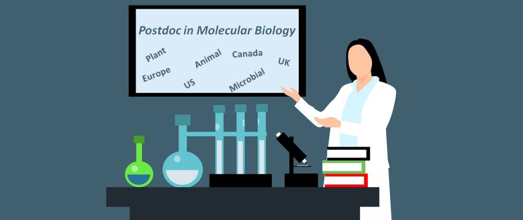 Postdoc in Molecular Biology, Fellowships from Canada, Germany, UK, USA, Europe, Australia | Molecular studies in Animals, Plants, Microbial System, Natural produc