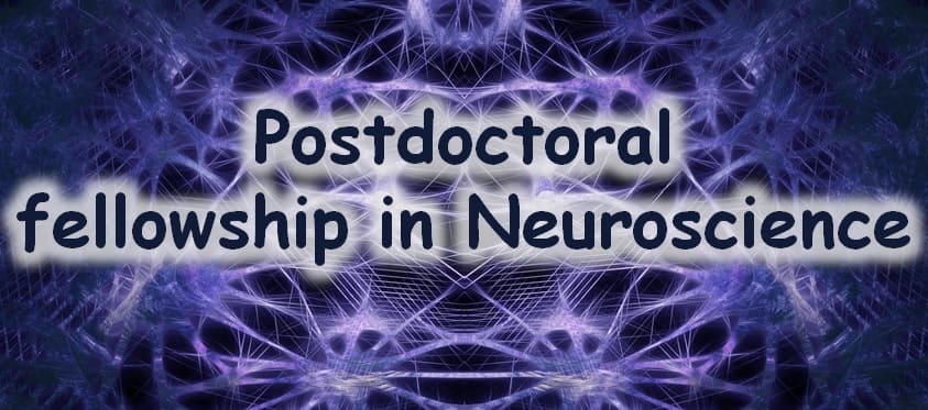 Neuroscience Postdoctoral Fellowship, Researcher Positions/Jobs - Big ...