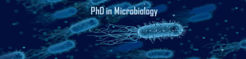 PhD in Microbiology in the US, UK, Europe, Canada, Australia, India, Switzerland, China, Hong Kong, Germany, and London