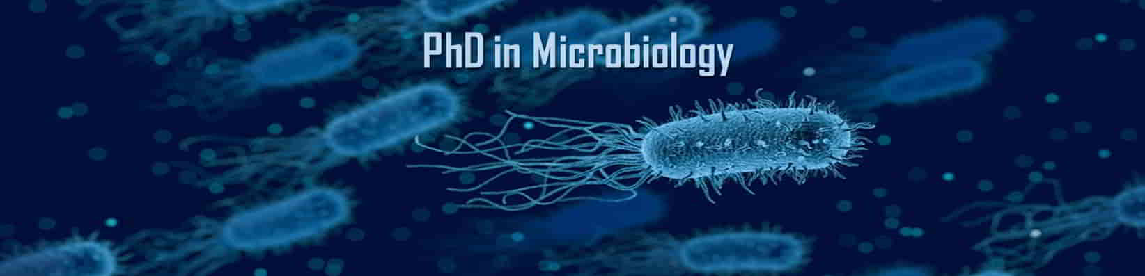 phd scholarships in microbiology