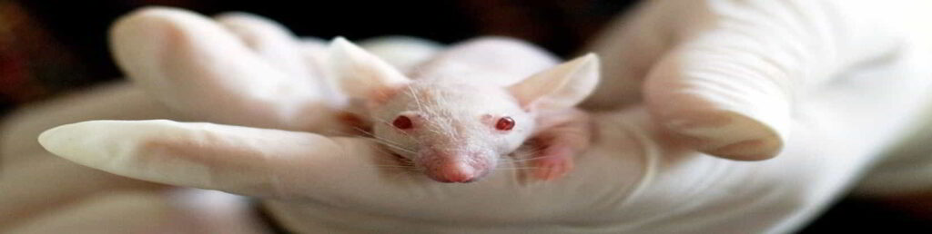 animal science research positions, fellowships