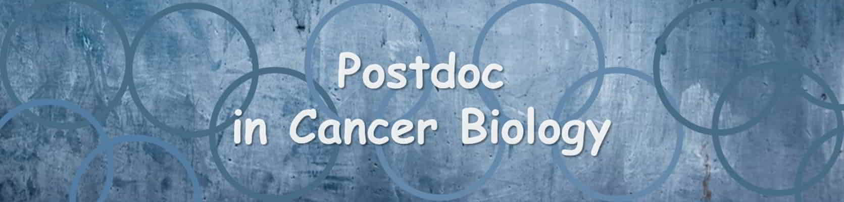 Postdoc In Cancer Biology: Research Fellowships, Positions - Big Sciences