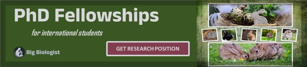PhD positions in Zoology abroad
