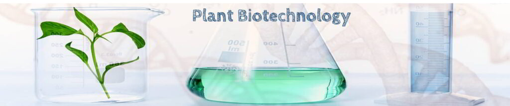 Research Position in Plant Biotechnology