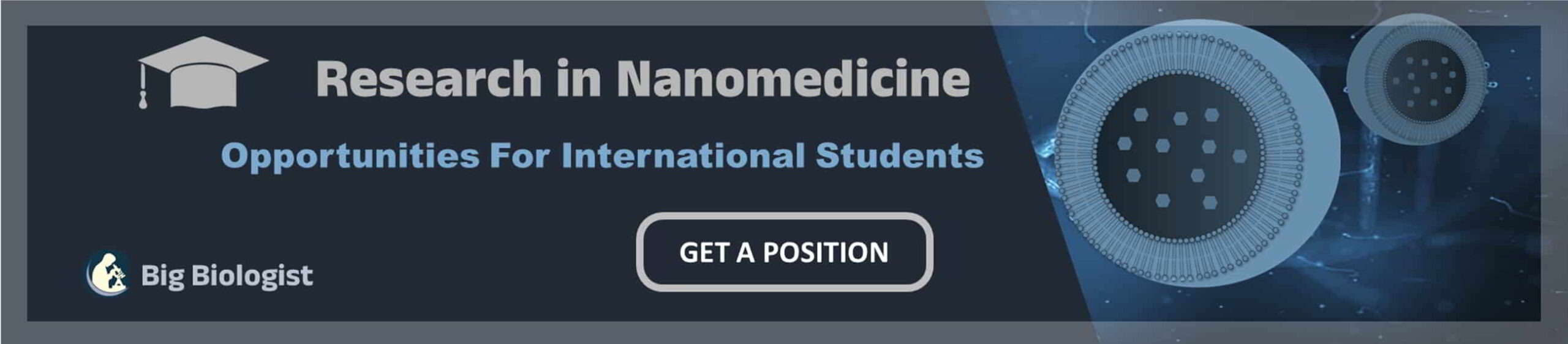 Postdoc in Nanomedicine Fellowship, Position, Jobs Big Sciences