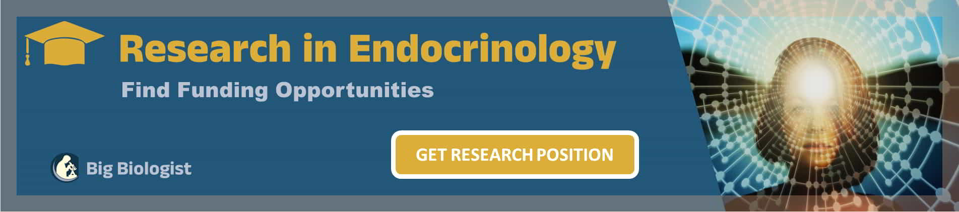 Postdoc In Endocrinology: Research Positions/Fellowships - Big Sciences