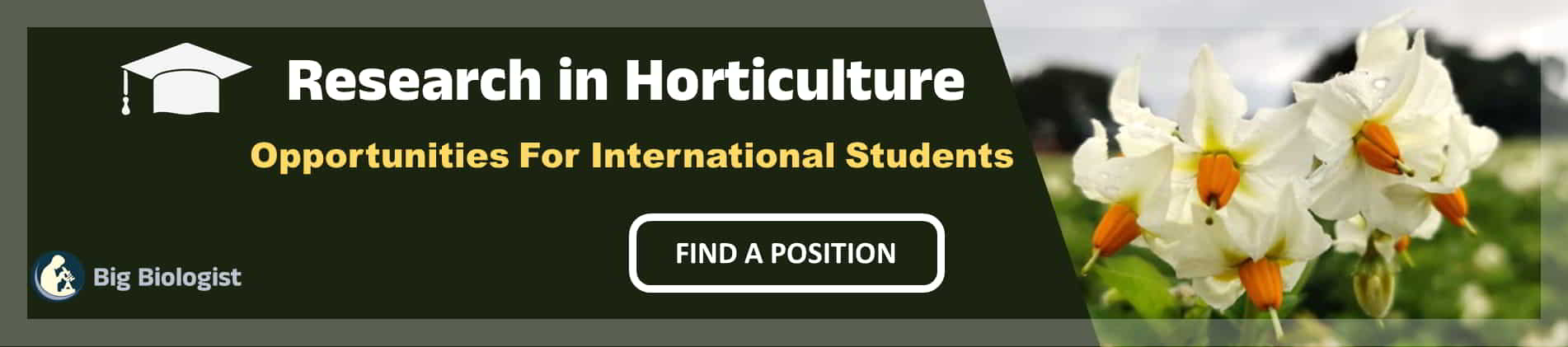 Postdoc In Horticulture: Position, Fellowship, Jobs - Big Sciences