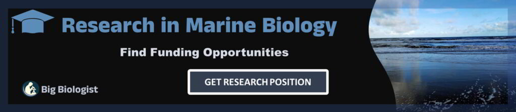 Marine Biology Research