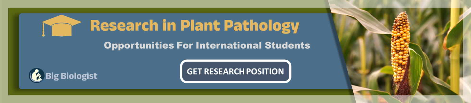 research paper of plant pathology