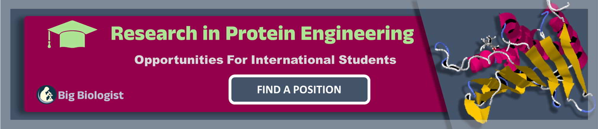 phd in protein engineering