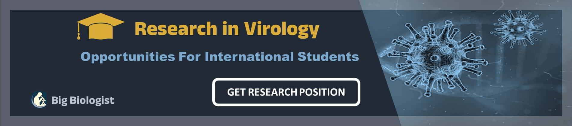 find a phd virology