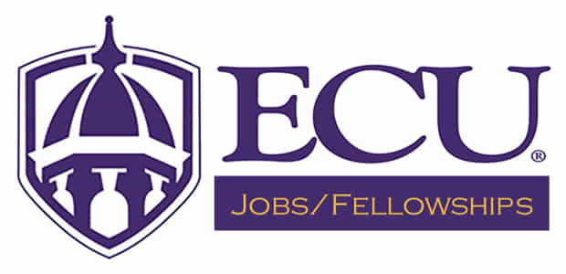 Postdoctoral Scholar, The Department of Kinesiology, East Carolina University, Greenville, USA