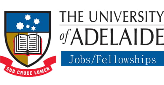 Healthy Development Adelaide and Channel 7 Children’s Research Foundation – PhD Excellence Award 2024, University of Adelaide, Australia