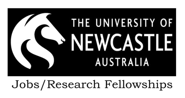 Research Assistant / Associate in Marine Hydrodynamics, University of Newcastle, Newcastle upon Tyne, UK