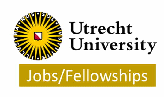 PhD or Postdoc position in Multicellular Modelling of the Impact of Extracellular Matrix on Tumour Cell Migration (1.0 FTE), Utrecht University, Netherlands, Europe